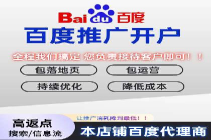 百度竞价广告的创意与执行：成功案例剖析